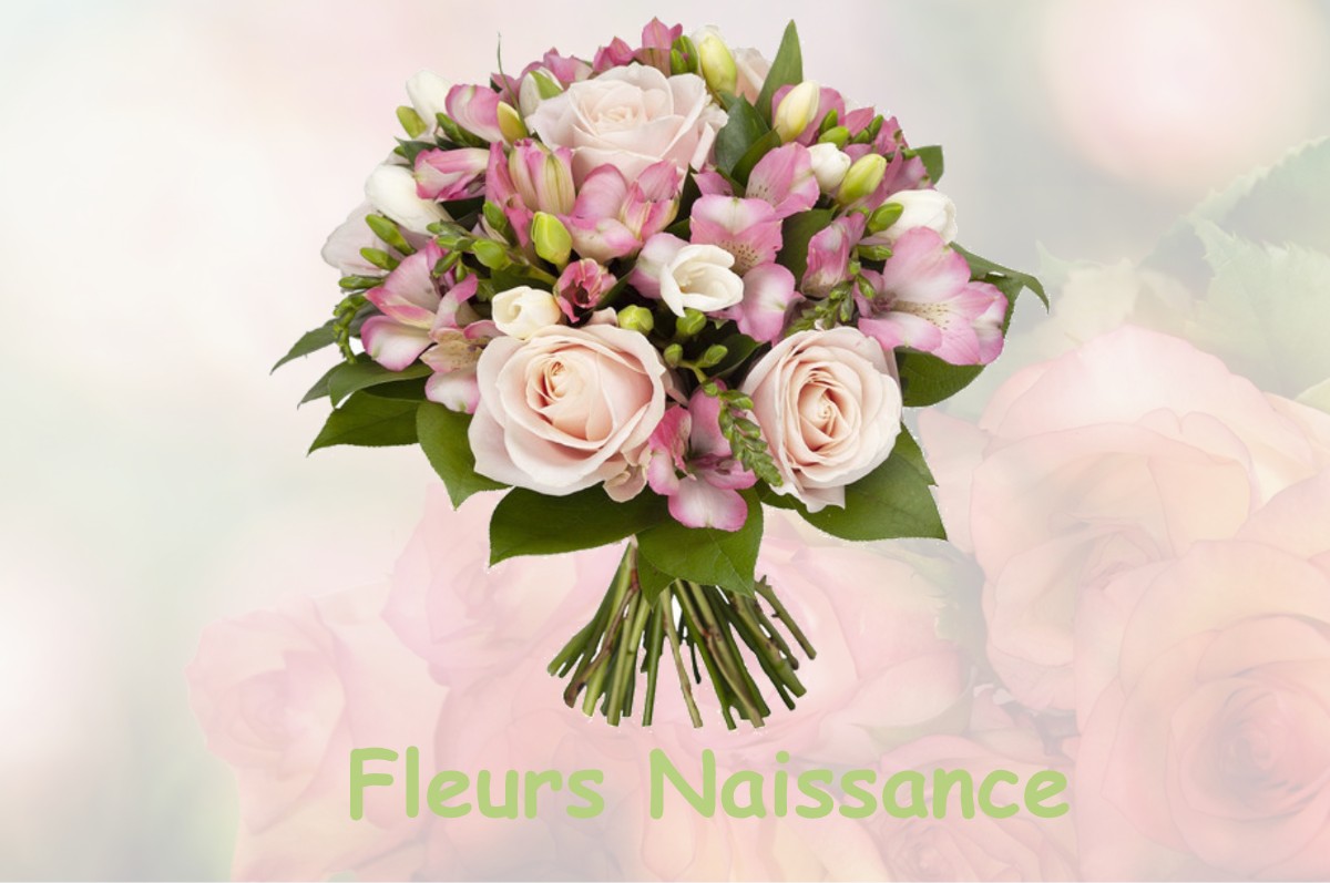 fleurs naissance SAINT-MARTIN-DE-FONTENAY